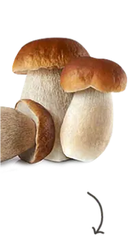 Арахіс смажений з натуральними грибами